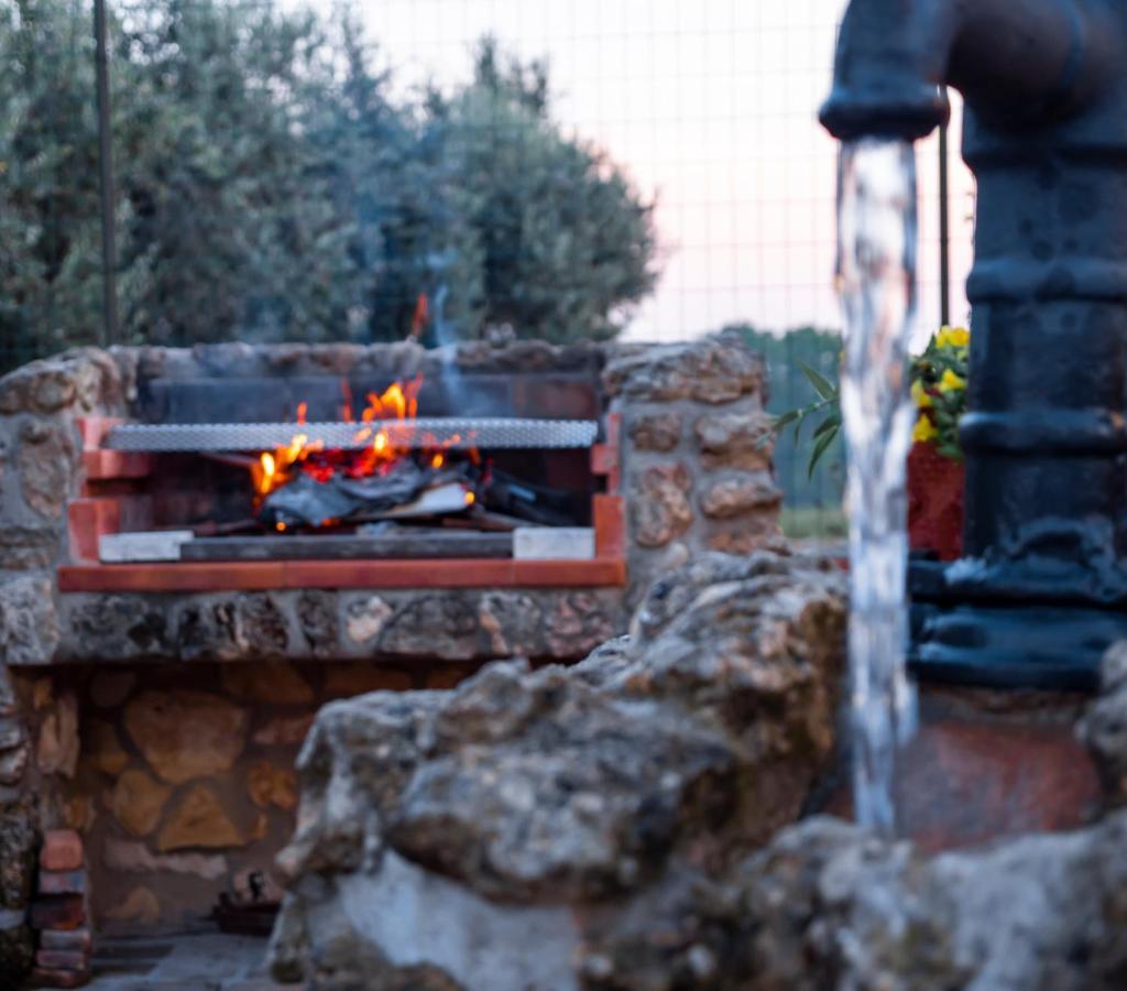 Le Rose Bed and Breakfast Nettuno Buitenkant foto